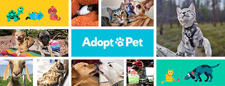 Wat is er nieuw op Adopt-a-Pet.com in juli 2022