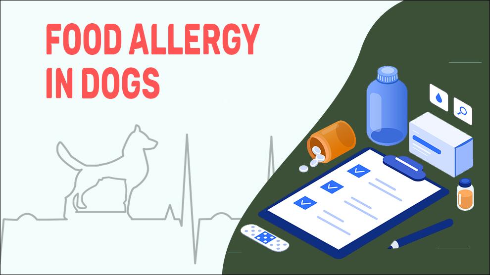 Voedsel Allergie Bij Honden