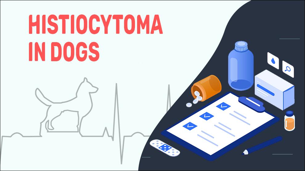 Histiocytoma Bij Honden