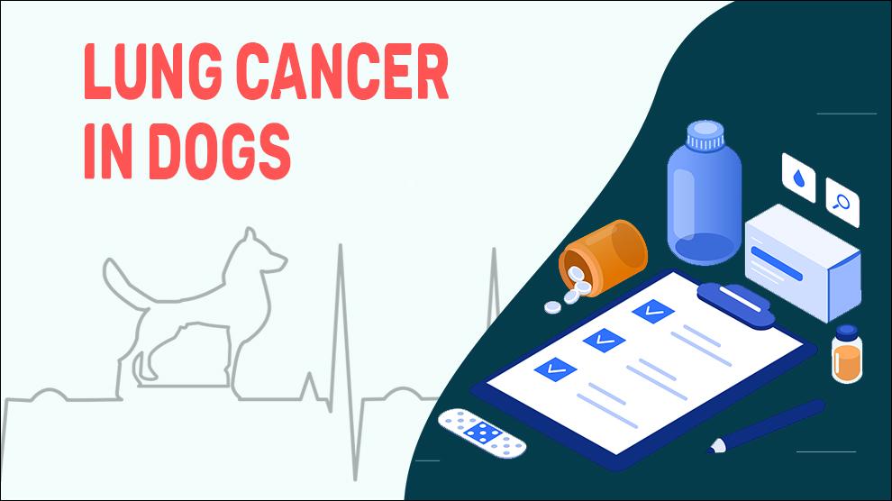 Longkanker bij honden