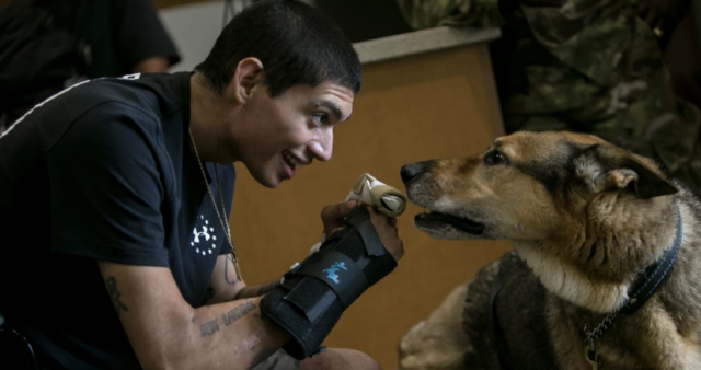 Gewonde soldaat en militaire hond herenigen na ontvangst Purple Hearts