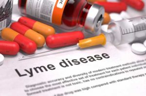Overvaccinatie tegen de ziekte van Lyme bij honden