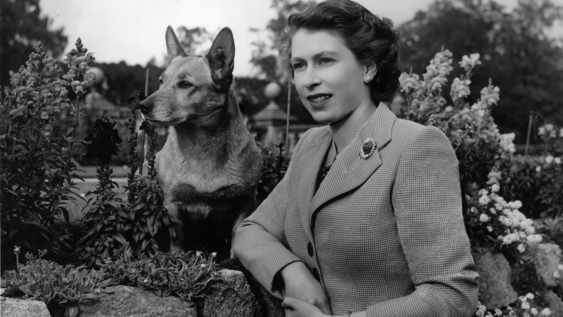 28 september 1952: Koningin van Groot-Brittannië Elizabeth II op Balmoral Castle met een van haar Corgis.