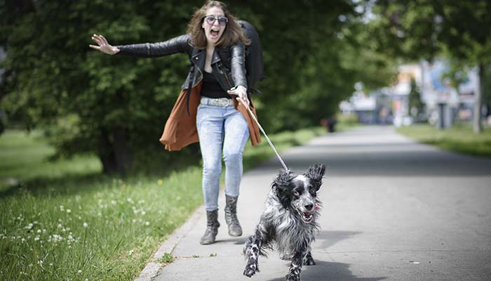 Evidence-based Manieren om met Hyperactieve Honden om te gaan