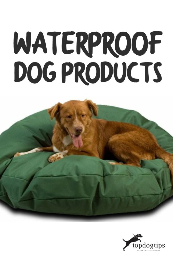 Waterdichte hondenproducten