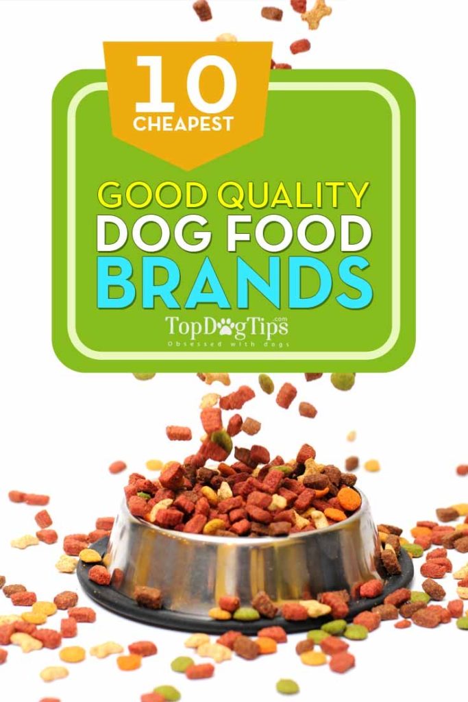 10 Top Rated Beste Goedkope Hondenvoer Merken