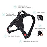 Safety Lock No Pull Pet Harness