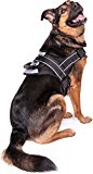 Friends Forever Big Dog Reflective No Pull Harness