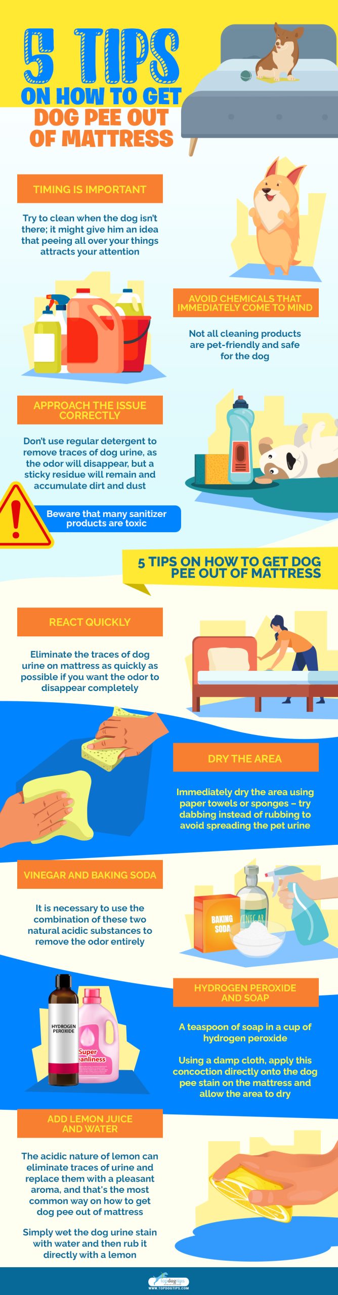 Stiptheid Reusachtig dodelijk 5 tips om hondenpoep uit een matras te krijgen - Stichting Signaal Hond:  Alles over honden