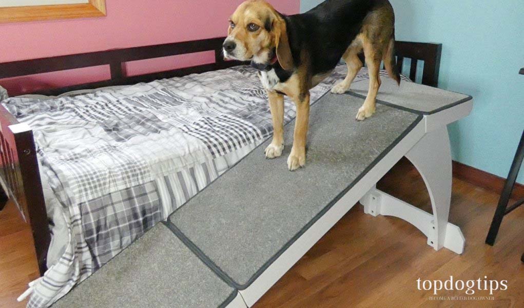 Beoordeling van PetSafe CozyUp Bed Ramp voor honden