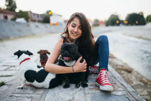 7 Beste alternatieven voor hondendagopvang