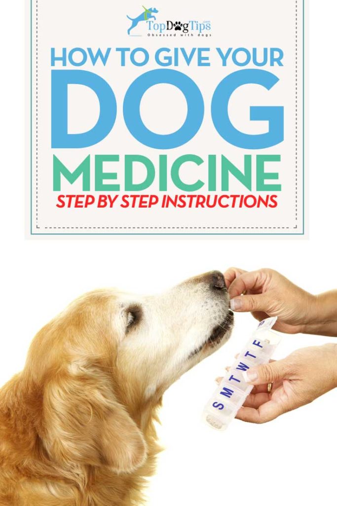 Tips om een hond medicijnen te geven