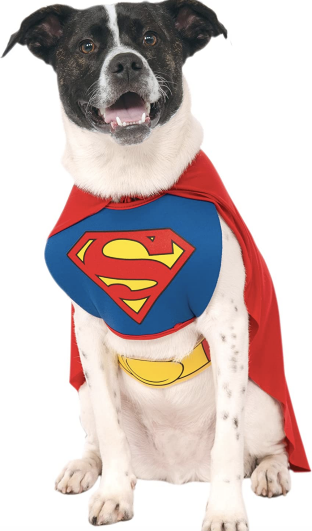 Hond Superman kostuum