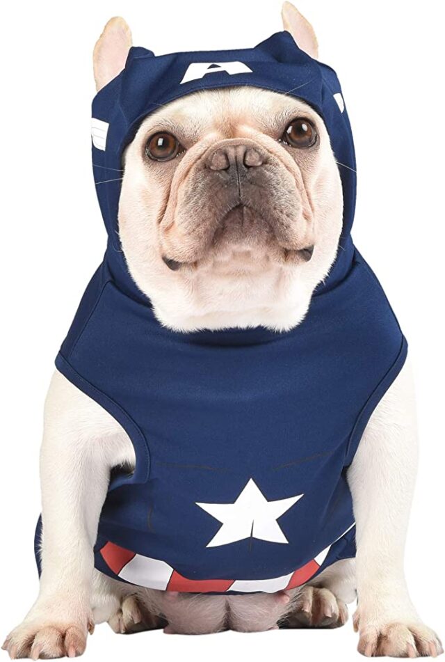 Captain America hondenkostuum