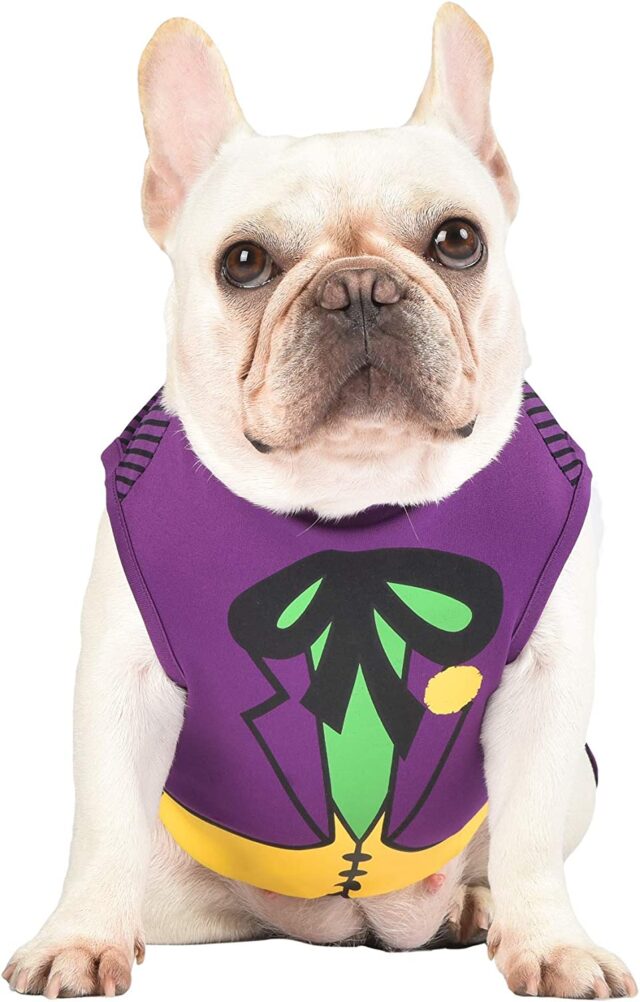 Hond Joker kostuum