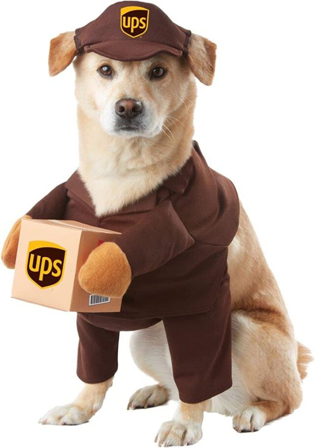 Hond UPS kostuum