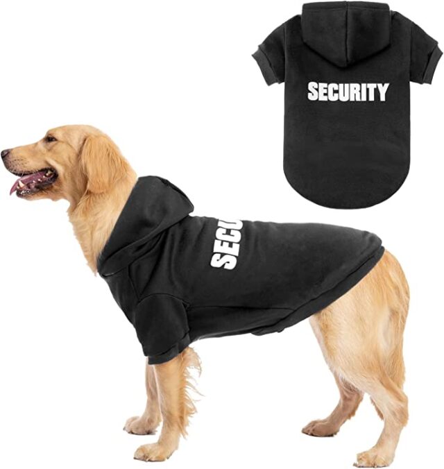 Hond veiligheidskostuum