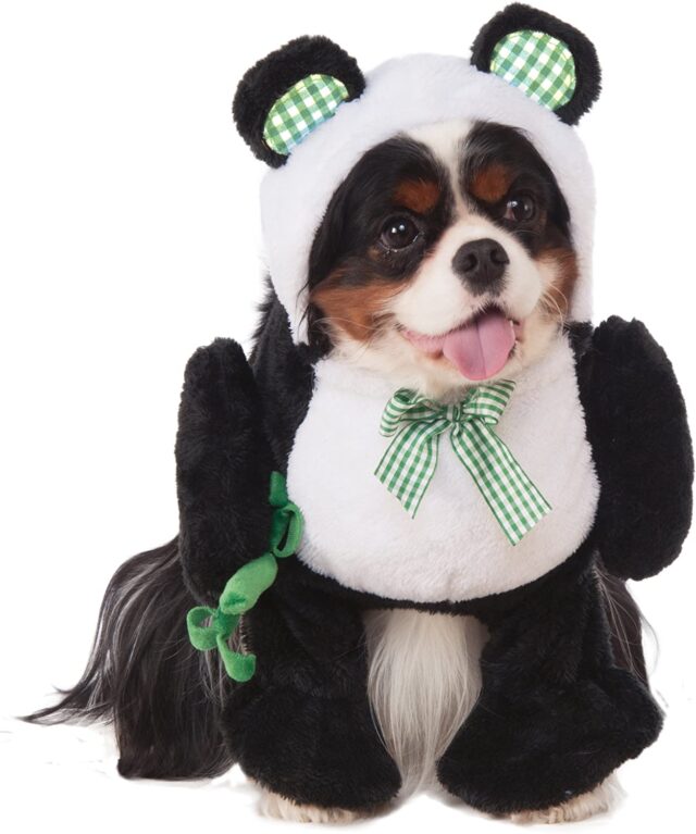 Schattig hond panda kostuum