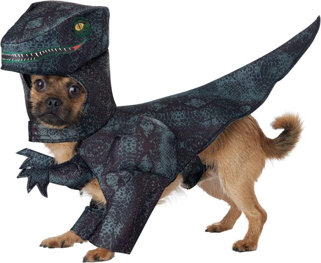 Hond dinosaurus kostuum
