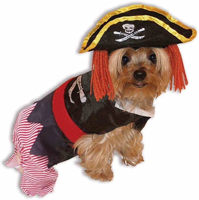 Hond piraten kostuum
