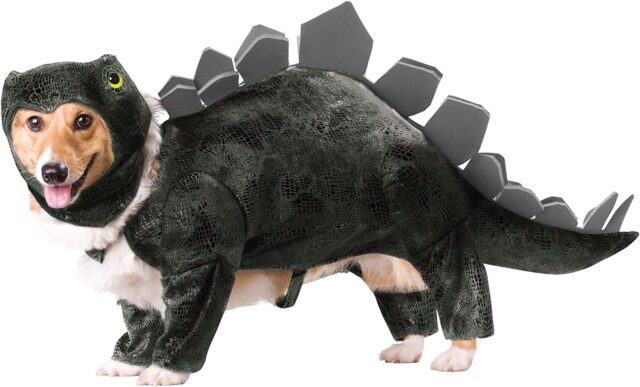 Hond stegosaurus outfit