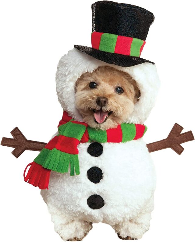Hond sneeuwpop kostuum