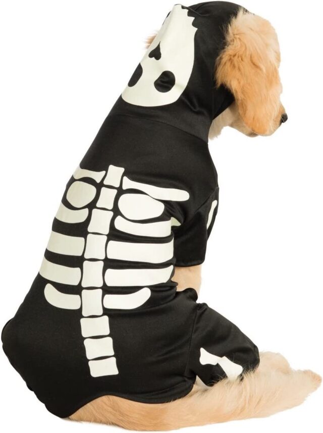 Hond die skelet capuchon draagt