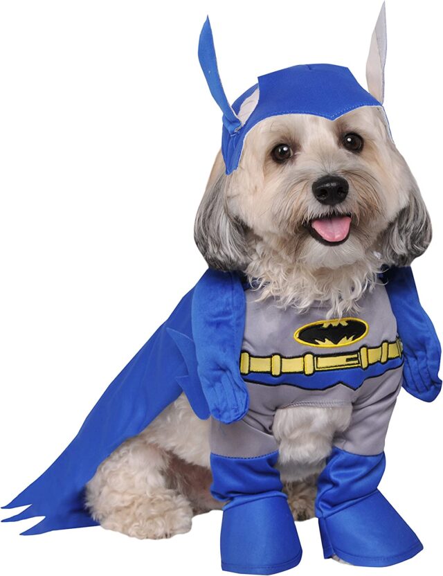 Batman hond