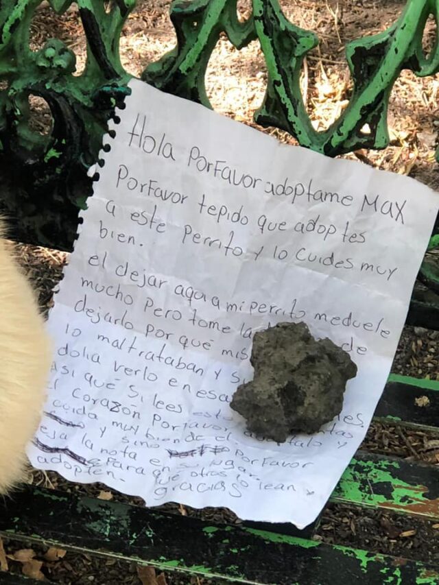 Verlaten hondenbriefje