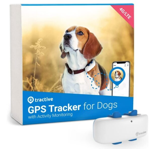 Beste activity tracker voor honden