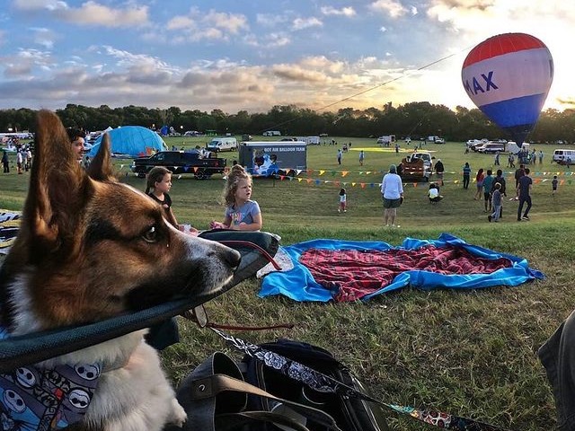 Balloonfest