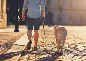 eigenaar-wandelende-hond-met-dementie