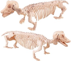 Teckel Halloween Skeleton Dog