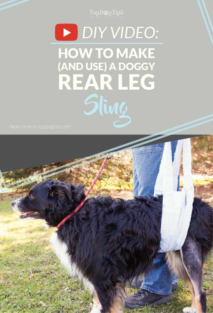 Hoe maak je een eenvoudige doe-het-zelf achterpoot sling voor honden