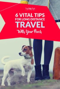 Tips voor lange afstand reizen met uw hond