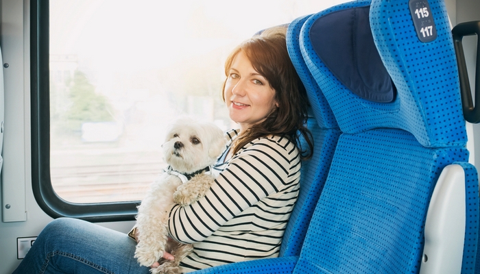 Tips voor lange afstand reizen met uw hond