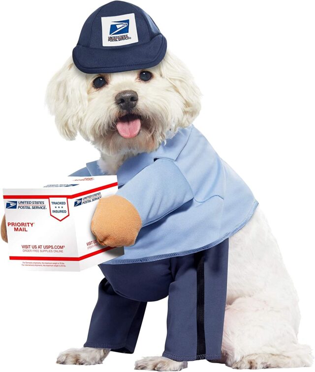 Postbode hondenkostuum