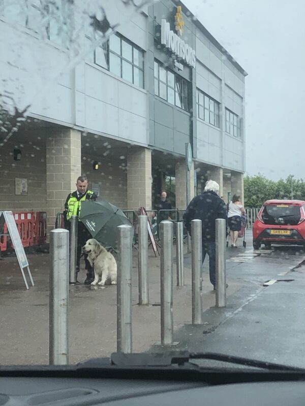 Man houdt paraplu voor hond vast