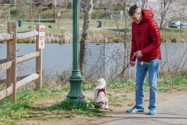 Man neemt zijn hond mee voor een wandeling in het park