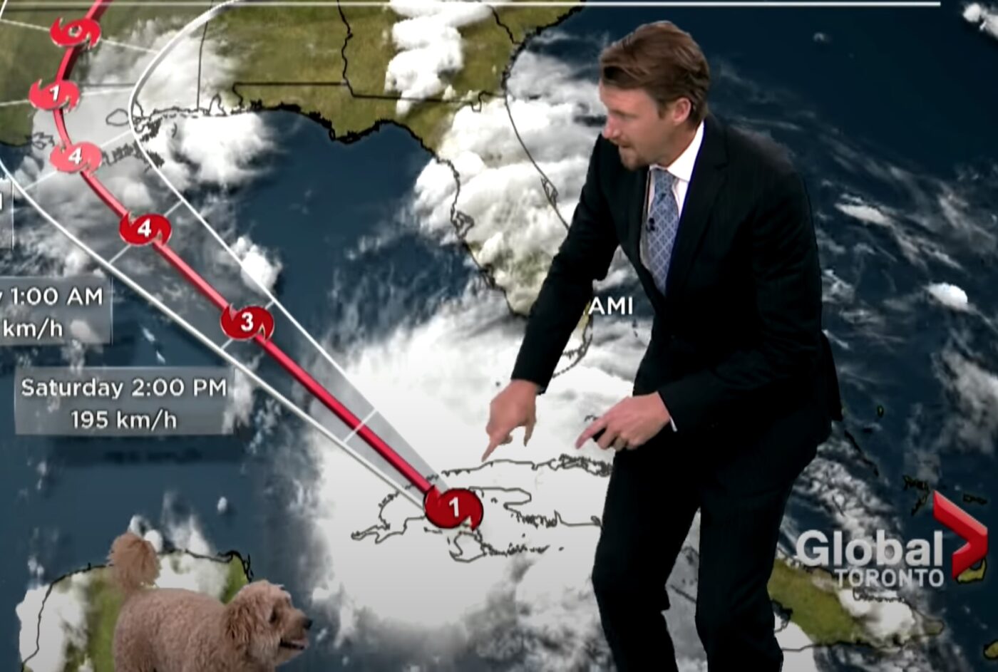 Meteorologen' hond onderbreekt weerbericht op zoek naar lekkers