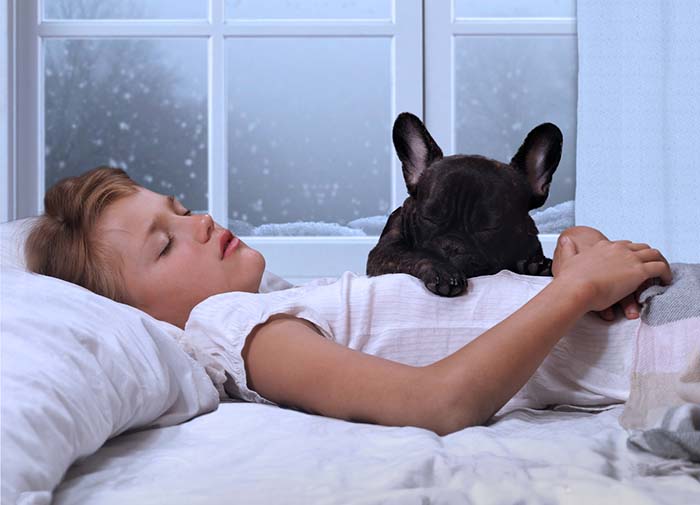 Waarom slapen honden meer in de winter