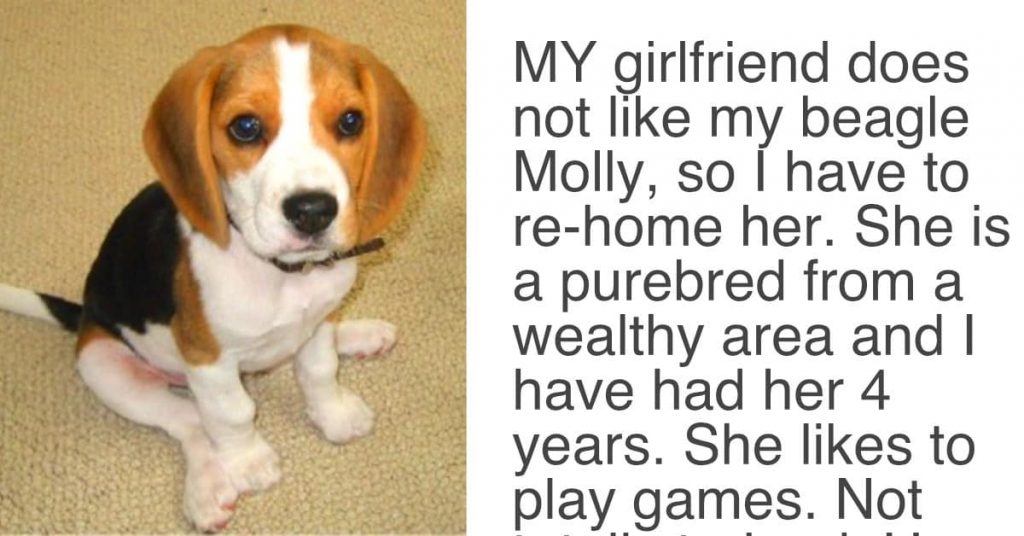Vriendin gaf haar partner een 'Ultimatum', eiste "de hond gaat" of "zij gaat".