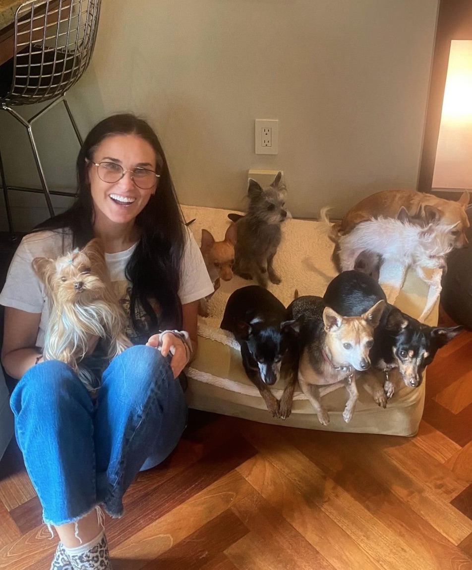 Demi Moore is perfect tevreden met haar single leven met 9 honden.