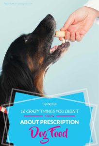 Dingen die u niet wist over hondenvoer op recept
