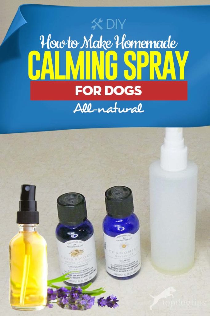 Tips voor het maken van zelfgemaakte kalmerende spray voor honden