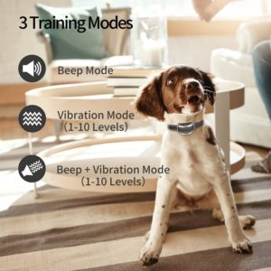 PETJOY Vibrerende hondenhalsbanden met afstandsbediening details