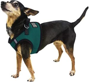 Dogline Boston Step in Mesh Hondentuig met Deaf Dog Patch groenblauw