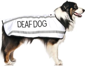Dove Hond Witte Warme Hond Jassen S-M M-L L-XL Waterdichte Reflecterende Fleece Gevoerd