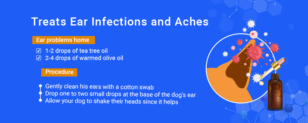 tea tree olie voor honden, infecties en pijntjes