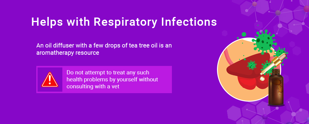 luchtweginfecties behandeld met tea tree olie voor honden